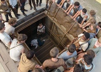 Ο λαβύρινθος