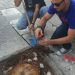 Δολιοφθορά σε πεύκα στη Λ. Ειρήνης;