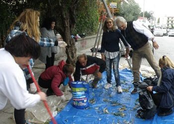 Εθελοντικό μάζεμα ελιάς