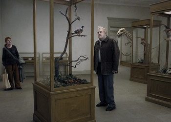 Ένα περιστέρι έκατσε σε ένα κλαδί