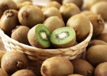 Δωρεάν ακτινίδια από το Δήμο