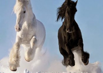 Η Παραμυθοκουζίνα ξανά στο Μαρούσι!