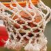 Εργοτέλης-Πεύκη 86-72