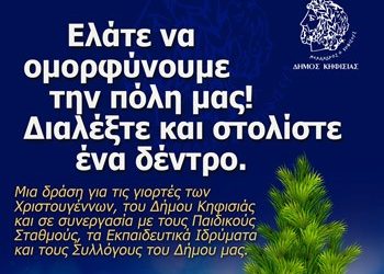 Διαλέξτε και στολίστε ένα χριστουγεννιάτικο δέντρο