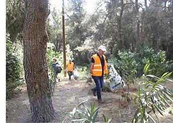 Εθελοντική δράση καθαρισμού στο ρέμα Ακακίας