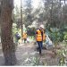 Εθελοντική δράση καθαρισμού στο ρέμα Ακακίας