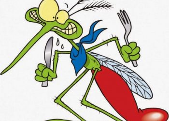 Η Παραμυθοκουζίνα στα Ανάβρυτα