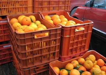 Διανομή δωρεάν πορτοκαλιών