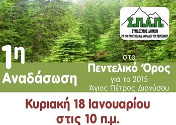 ΣΠΑΠ: Στις 15/1 η 1η Εθελοντική Αναδάσωση