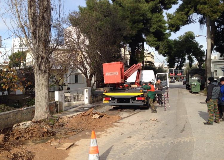 Μεγάλη επιχείρηση για την κοπή δένδρου