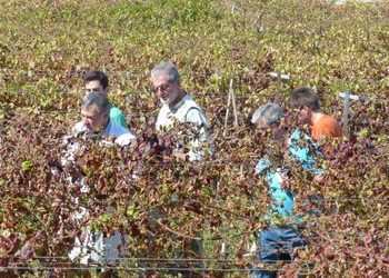 Μετακομίζει στο Τατόι το ΕΘΙΑΓΕ;