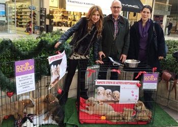 Κάλεσμα σε εθελοντές από την Επιτροπή Ζωοφιλίας