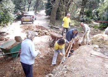 Δάσος Συγγρού: Εργασίες, θέματα, προβληματισμοί