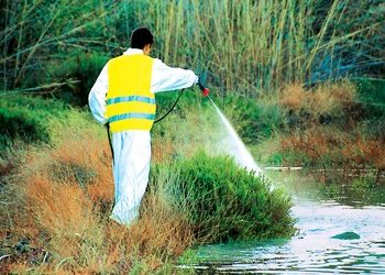 Πρόγραμμα καταπολέμησης κουνουπιών