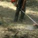 Καθαρισμός οικοπέδου από το Σώμα Εθελοντών