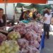 Η 22η διανομή του «Μαζί να τα Φάμε»