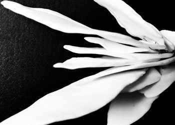 Πήλινο Σώμα