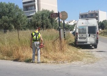 Καθαρισμός ξερόχορτων από τον ΣΠΑΠ