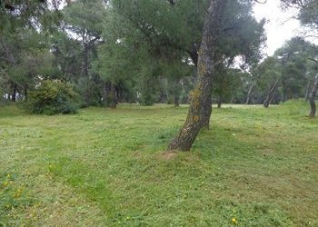 «Κανένα ενδιαφέρον για προσφορά, Πεντελιώτες;»