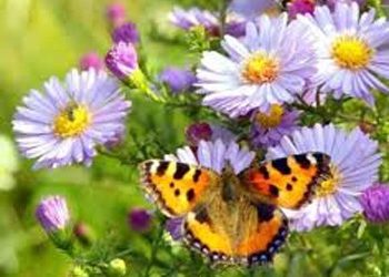 Πρωτομαγιάτικη εκδρομή του Γ’ ΚΑΠΗ Μελισσίων