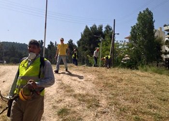 Καθαρίστηκε το πάρκο «Σταύρος Κώτσης»
