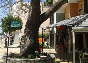Προσπάθεια να σωθεί ο πλάτανος
