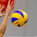 Στην Α2 η ομάδα βόλεϊ