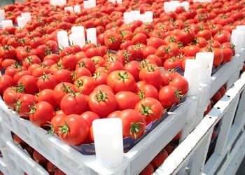 Πως κινήθηκαν οι ελληνικές εξαγωγές