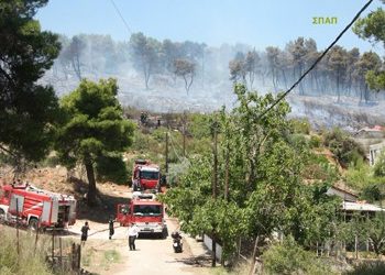 Επέμβαση ΣΠΑΠ στη φωτιά στη Σταμάτα και τον Άγιο Στέφανο