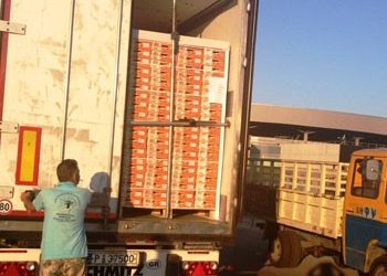 Πρεμιέρα για την «Αμάλθεια»