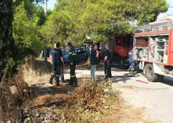 Σε τέσσερις πυρκαγιές παρενέβη η ΟΕΔΔ