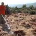 Επιτυχές και το 5ο Εθελοντικό Πότισμα