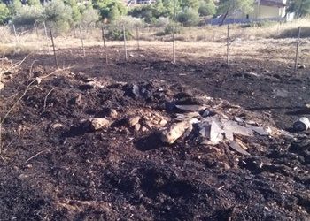 Άμεση κατάσβεση φωτιάς στα Μελίσσια