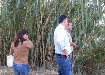 «Καλοκαίρι χωρίς κουνούπια, φθινόπωρο χωρίς πλημμύρες»