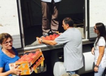 1.750 κιλά ροδάκινα στις κοινωνικές δομές