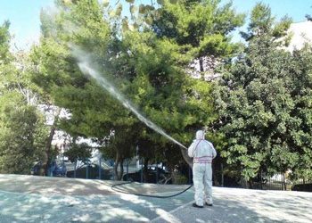 Αντιμετώπιση της Πυτιοκάμπης