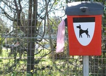 Έπεα πτερόεντα (14/11)