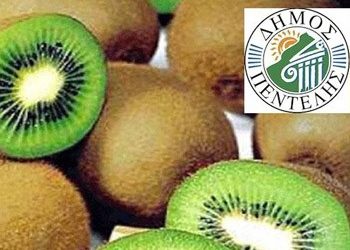 Δωρεάν διανομή ακτινιδίων