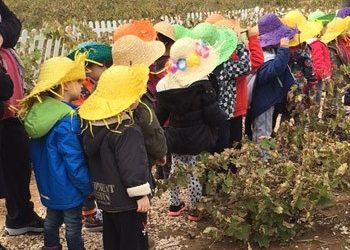 Βιωματική εκπαίδευση στους Παιδικούς Σταθμούς