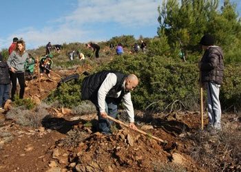 Επιτυχής και η 5η φετινή αναδάσωση