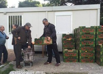 Έξι τόνοι δωρεάν πορτοκάλια