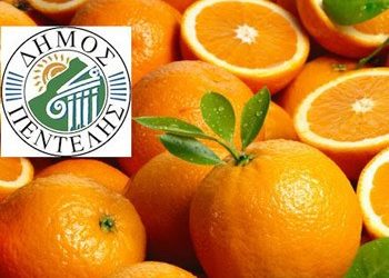 Δωρεάν διανομή πορτοκαλιών την Τετάρτη