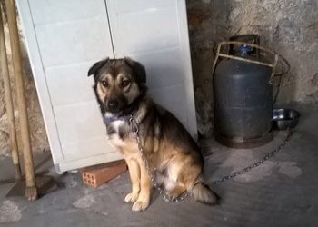 Θα τον αφήσουμε στον δρόμο;