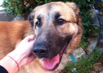 Χάθηκε ο Ερμής!