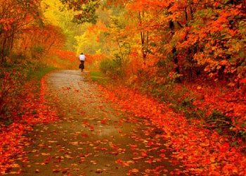 Φεύγοντας το Φθινόπωρο…