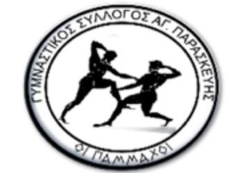 Συνεχίζονται οι επιτυχίες των «Παμμάχων»