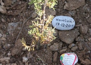 Μαζί αναζωογονούν το Πεντελικό