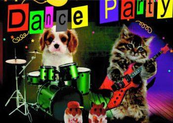 Για να βοηθήσουμε όλοι τα αδέσποτα