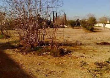 Πρωτοβουλίες… ανα(ΧΕΥ)τησης!