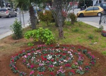 Πρασίνισε ο Δήμος Χαλανδρίου